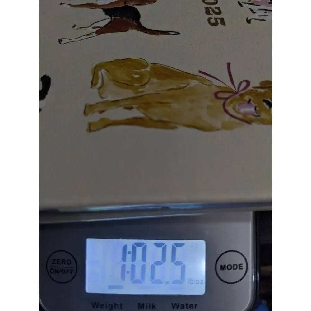 Eccolo Weekly & Monthly Planner 2025 Dog Dogs Chihuahua Beagle Dalmatian New
